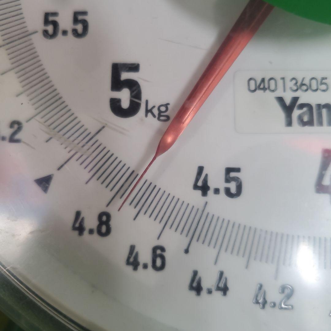 5️⃣ 山梨県産 美和姫 １０パック 箱込み4.7キロ