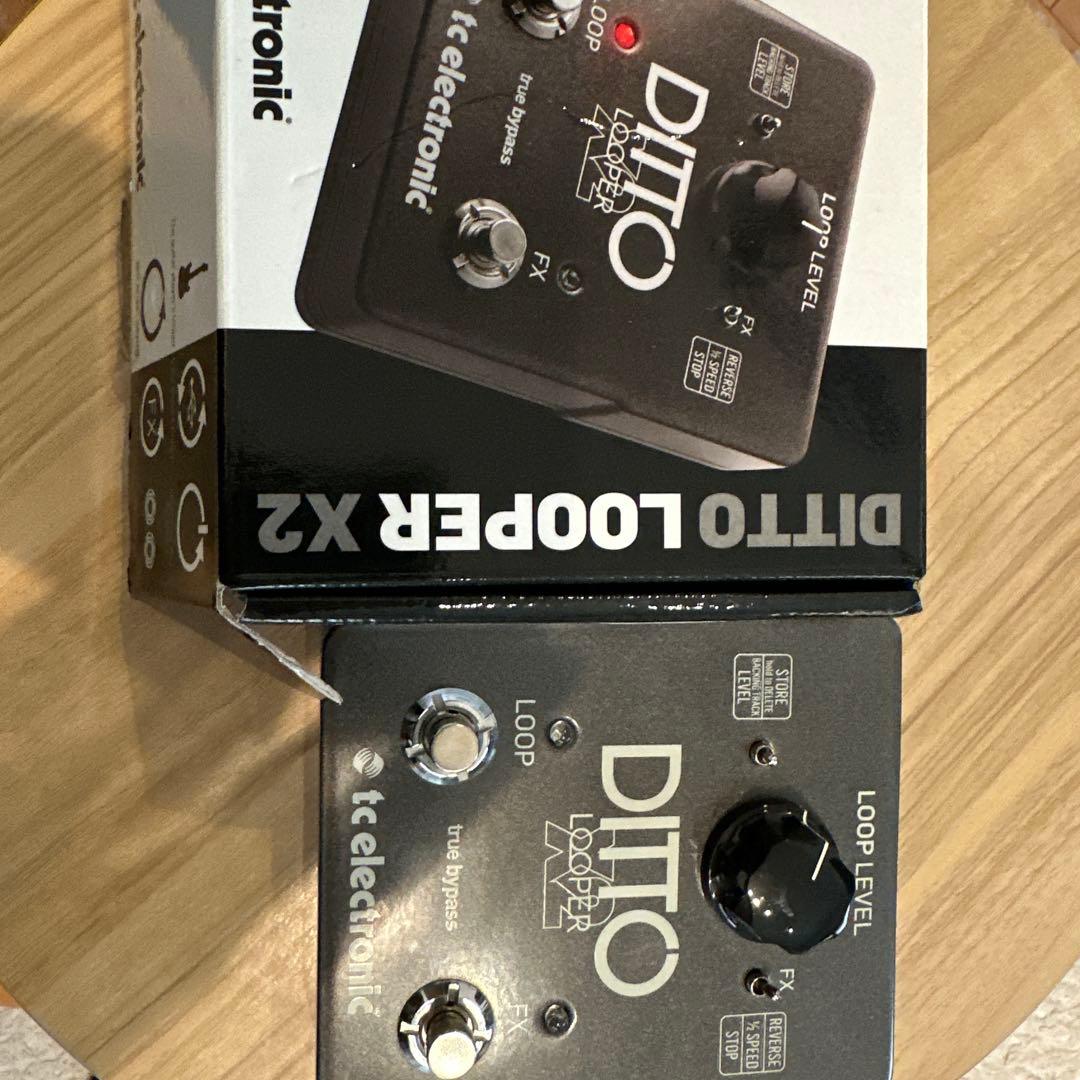 tc electronic DITTO LOOPER X2【稼動品】