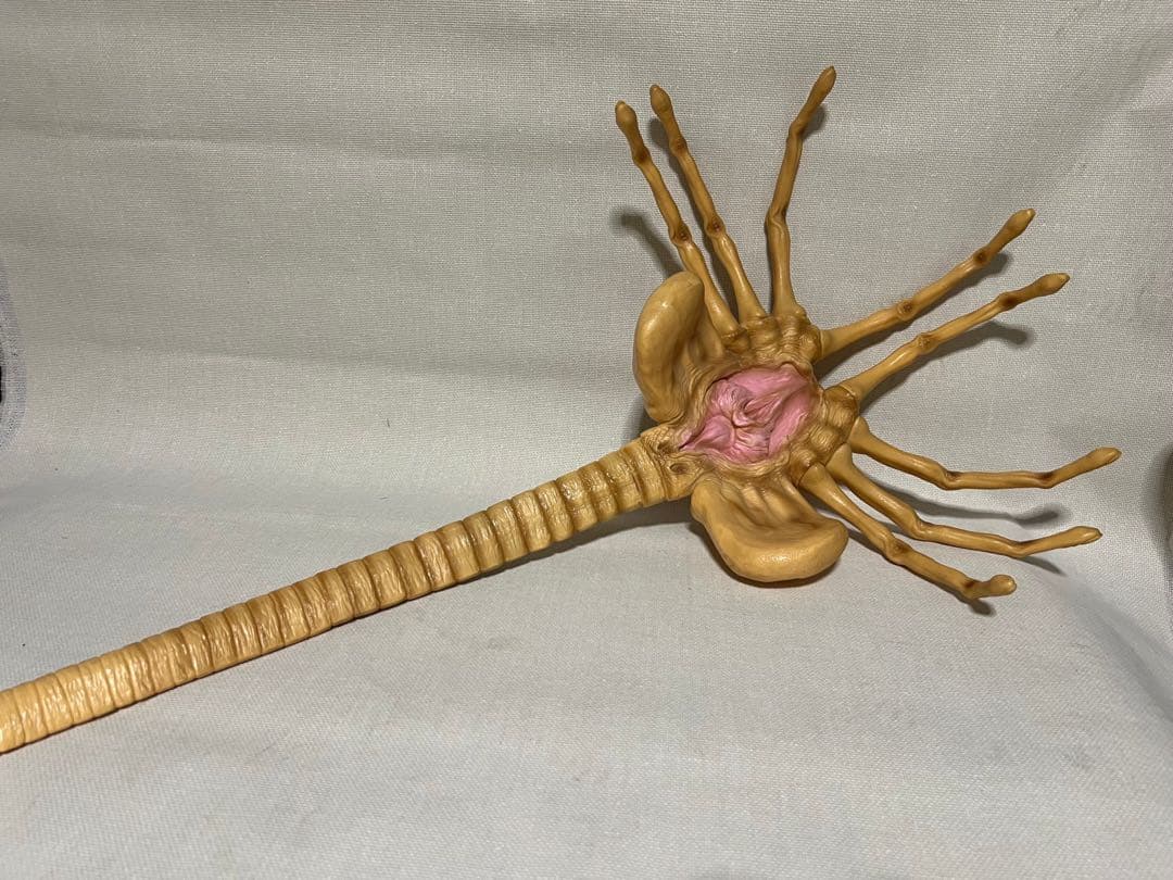 フィギュア エイリアン フェイスハガー ＤＶＤ　ソフビ