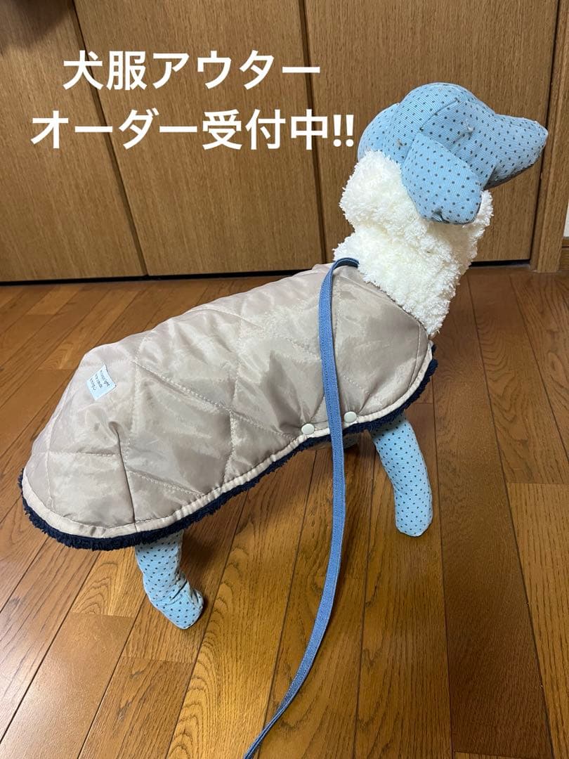 イタグレ、ウィペットアウターオーダー受付