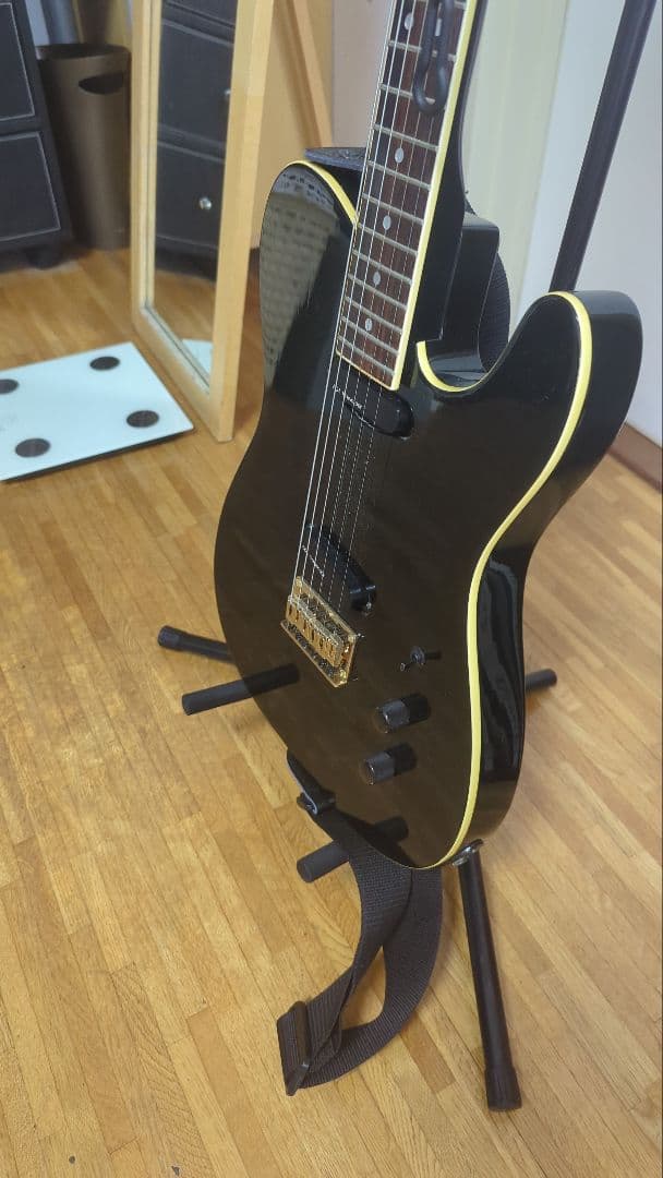 Fernandes limited Edition エレキギター ブラック