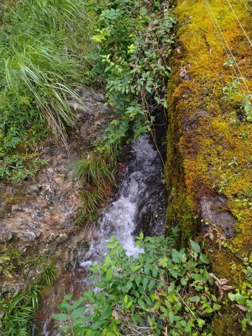 令和7年度 【湧き水栽培】農薬不使用玄米　ひとめぼれ 30㎏　奈良の農家直送