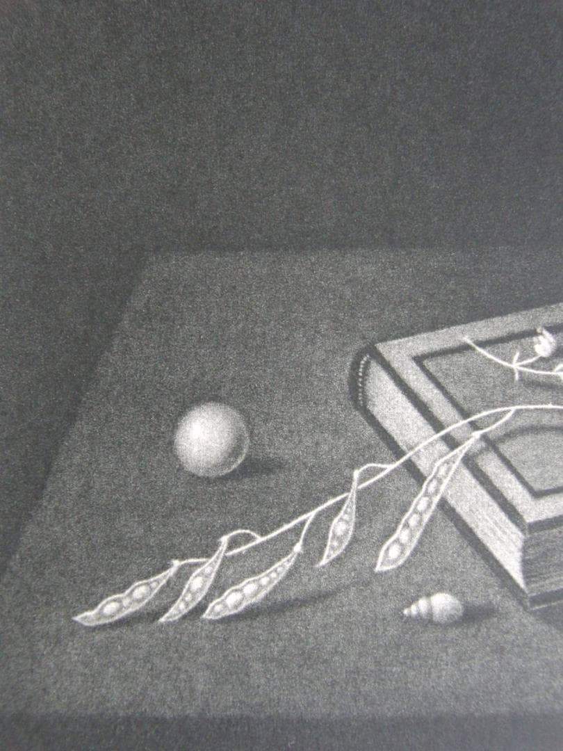 長谷川潔、本の上の小鳥　静物画、厳選、希少画集・額装画、新品高級額 額装付