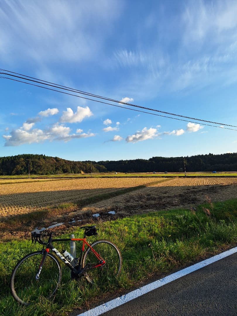 FELT ロードバイク FR3 2017モデル カーボン