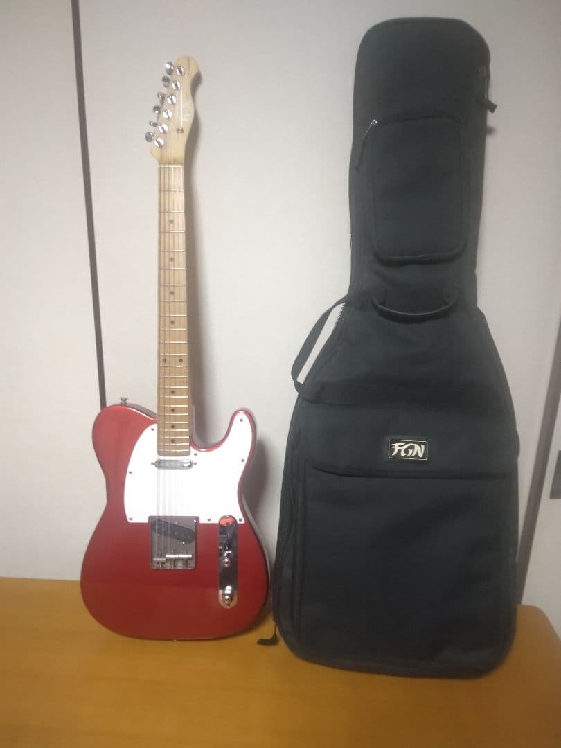 ギター FUJIGEN Telecaster JTL-5M