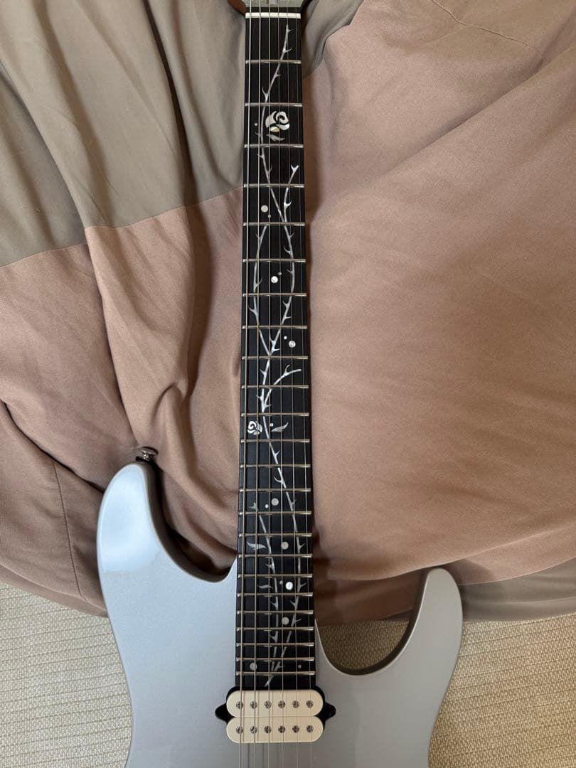 【期間限定値下げ】2025年4月新品購入 Ibanez TOD 10