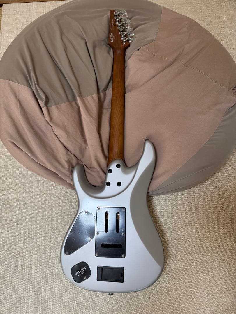 【期間限定値下げ】2025年4月新品購入 Ibanez TOD 10