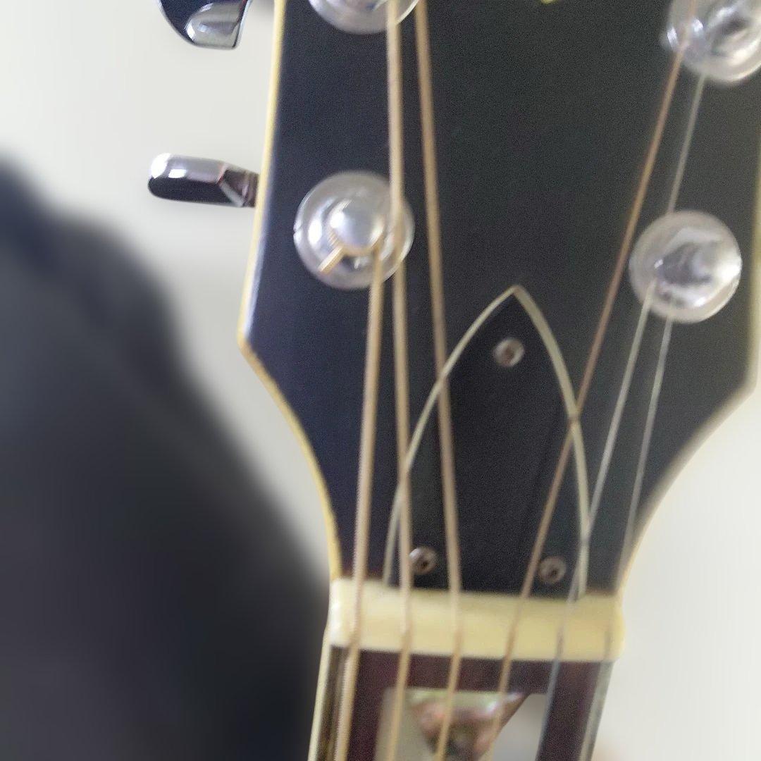 KANSAS KW250 カンサス アコースティックギター