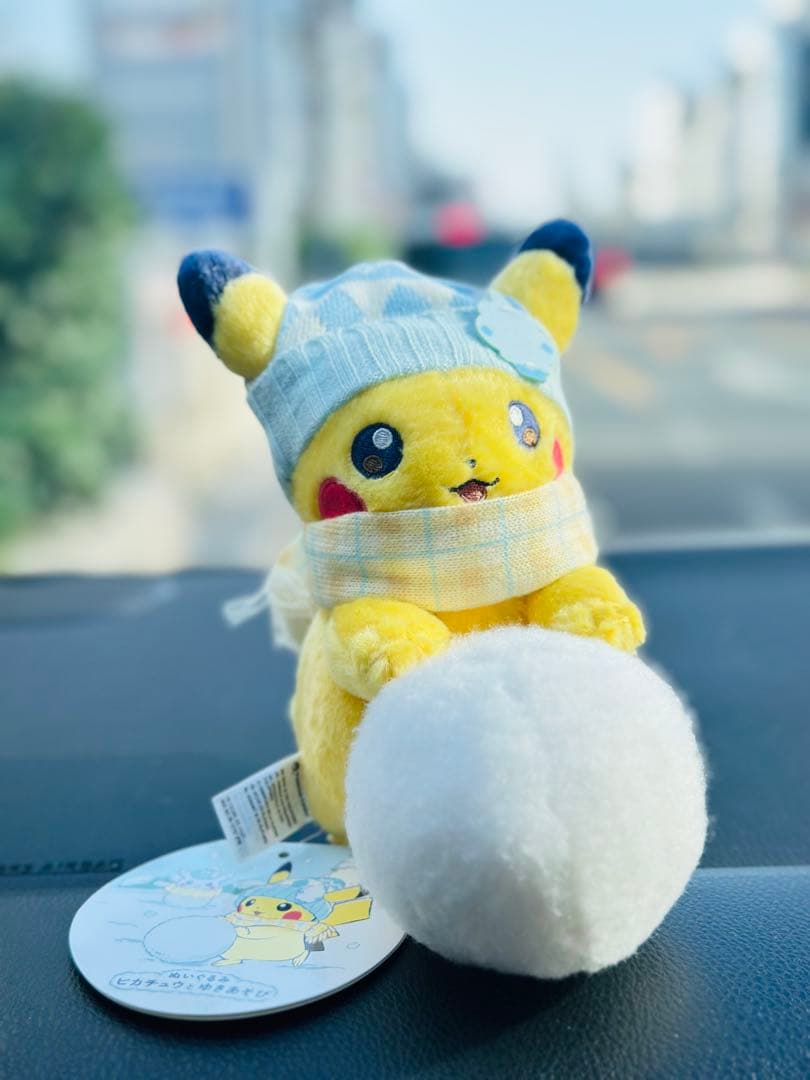 【匿名即日配送】ポケモン ぬいぐるみ ピカチュウとゆきあそび 2点セット