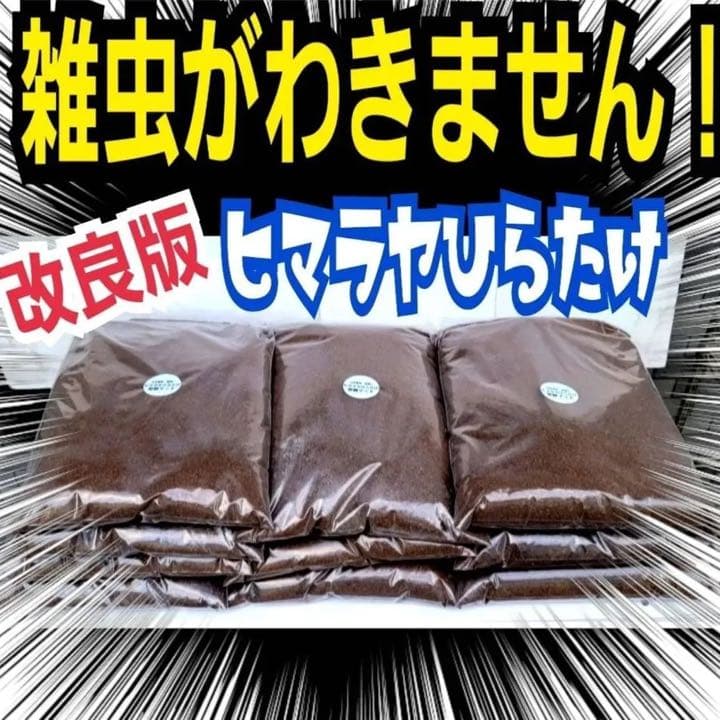 カブトムシ幼虫が大きく育ちます！ヒマラヤひらたけ発酵マット【8袋】栄養添加剤入り