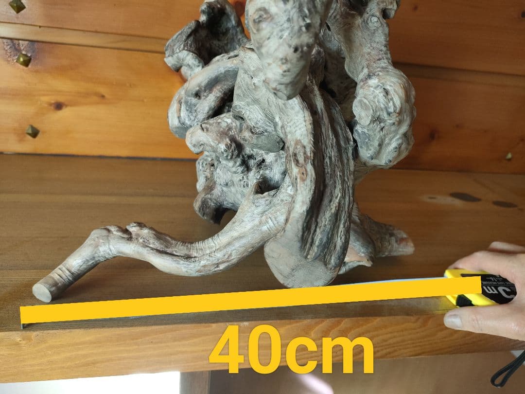 年末セール★大型流木