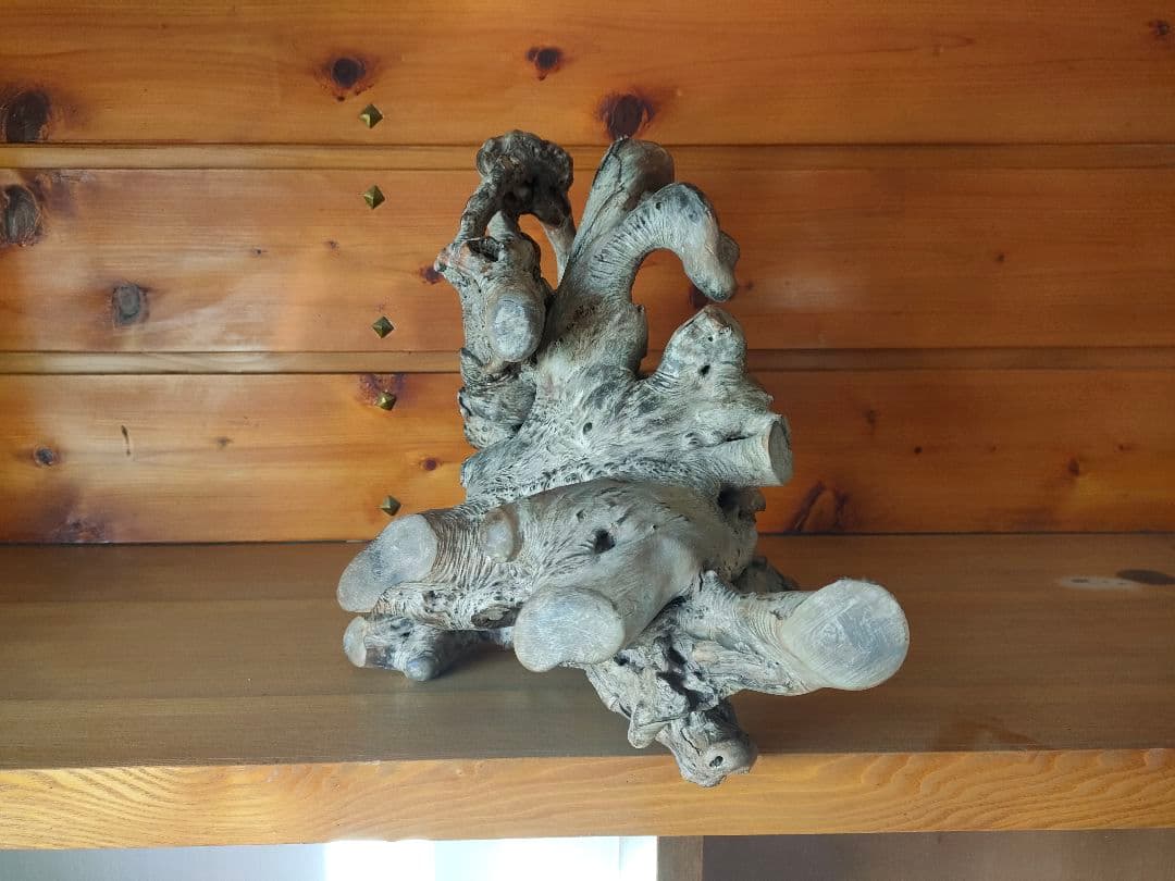 年末セール★大型流木