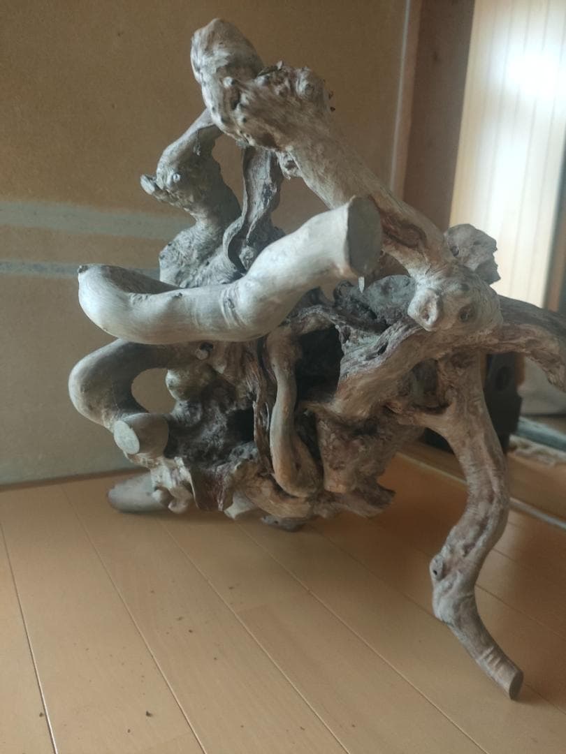 年末セール★大型流木