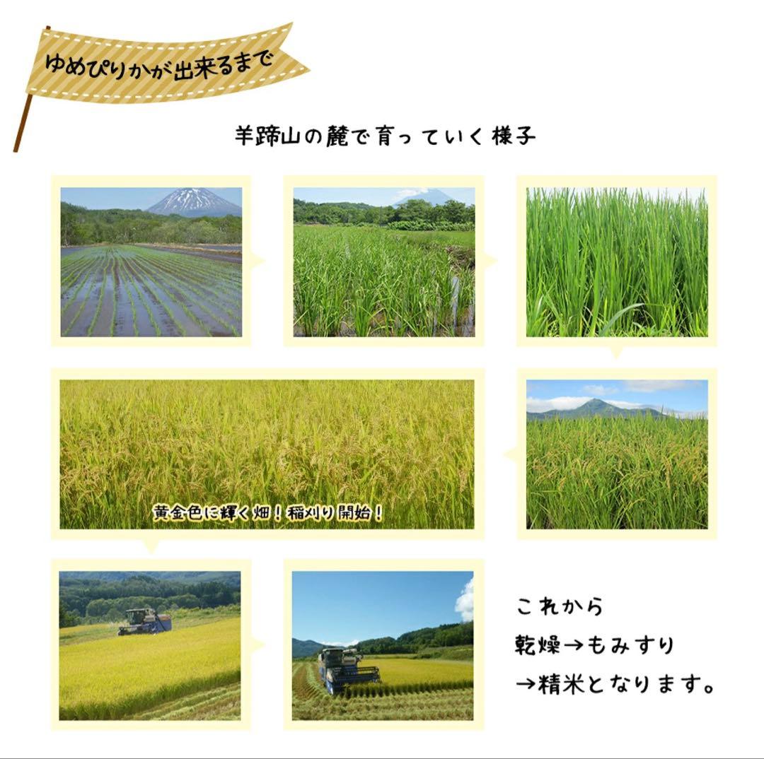 ゆめぴりか【玄米】 10kg令和7年 新米 北海道産 蘭越産 ユメピリカ