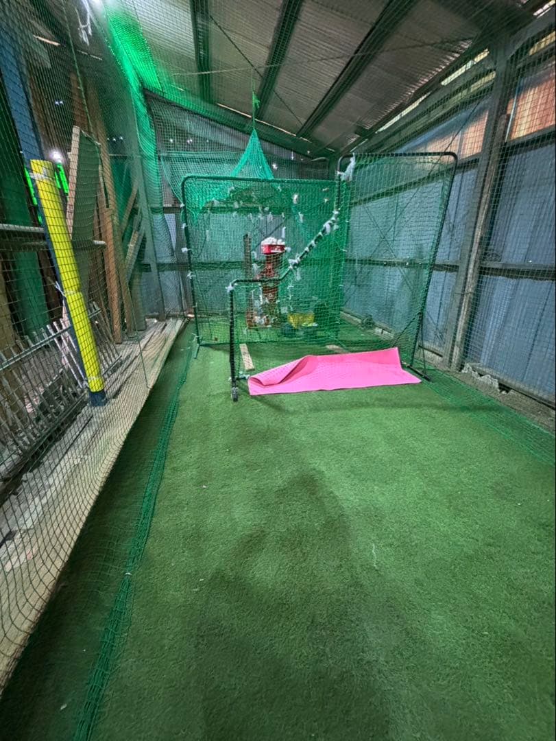 本格　とりかご　バッティングゲージ　硬式　練習　室内練習場　ネット　人工芝　打撃
