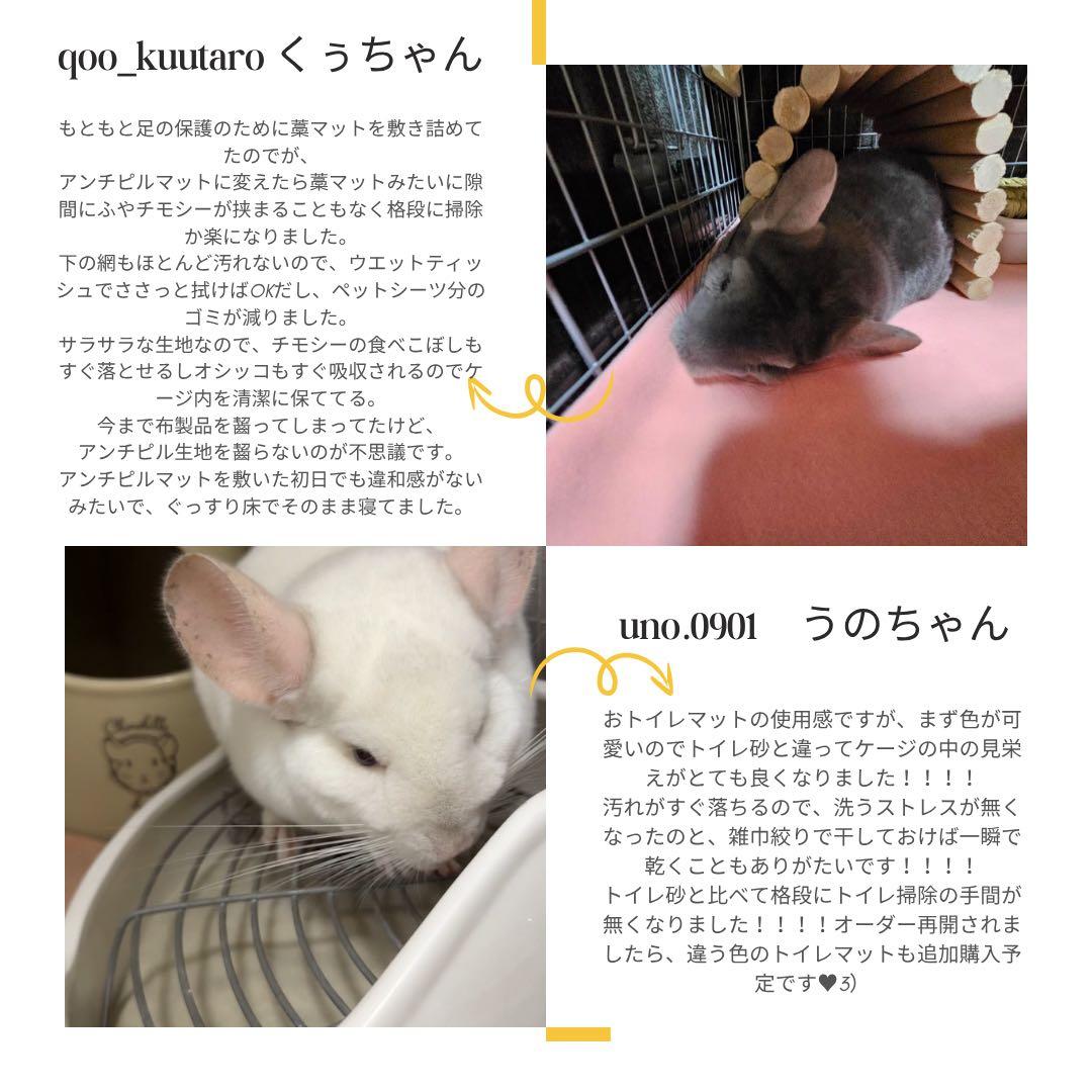 海外アンチピルマット　商品紹介ぺージ