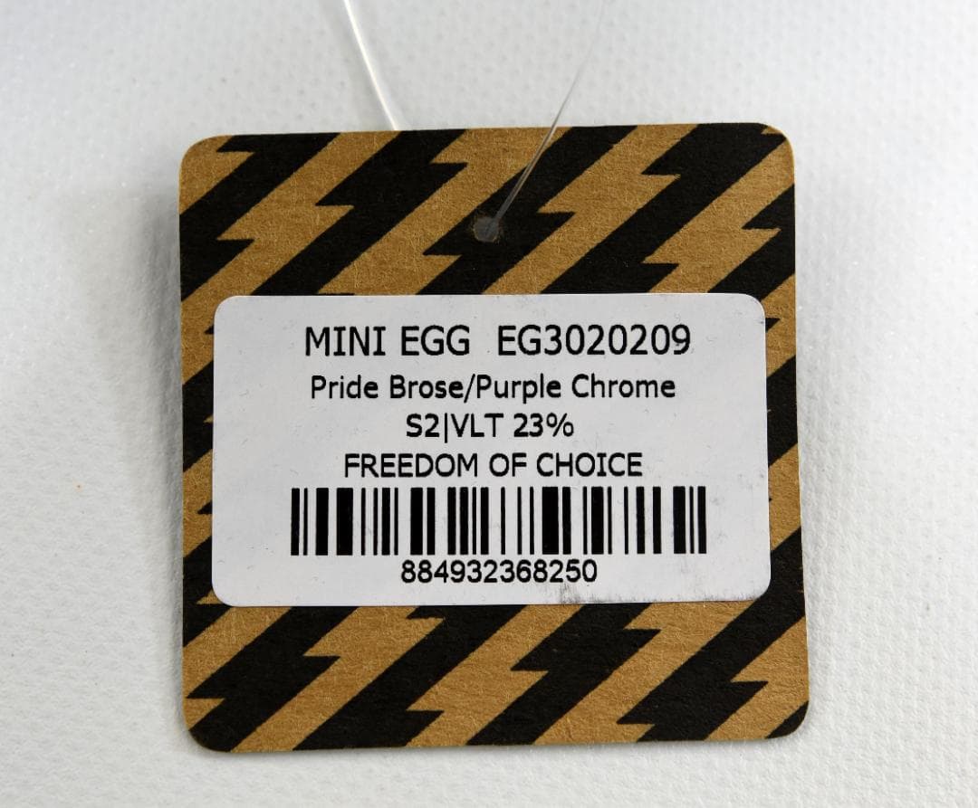 Electric EG2-T.S ゴーグル ※女性用 プライド