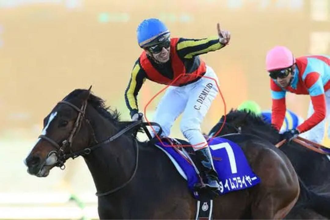 競馬　C.デムーロ騎手　サイン入り　実使用　ジョッキーパンツ