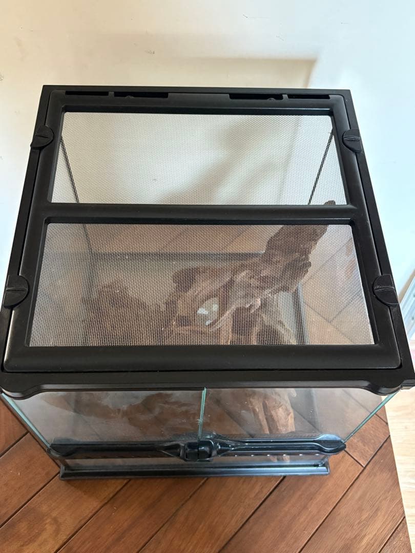 GEX グラステラリウム 3030 流木レイアウトセット　エキゾテラ ケージ