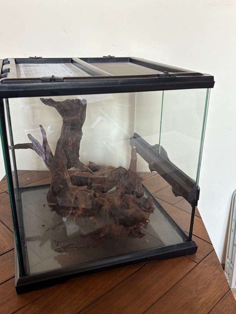 GEX グラステラリウム 3030 流木レイアウトセット　エキゾテラ ケージ