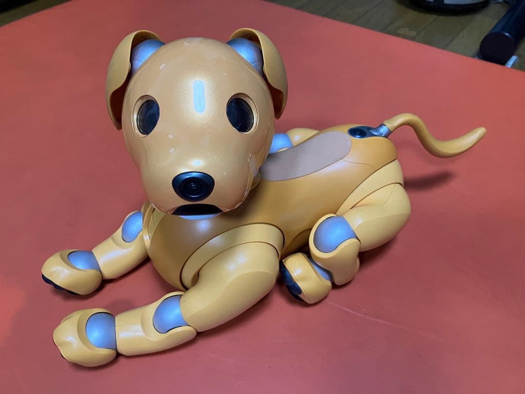 ソニー　アイボ　aibo キャラメルエディション　ERS-1000 美品