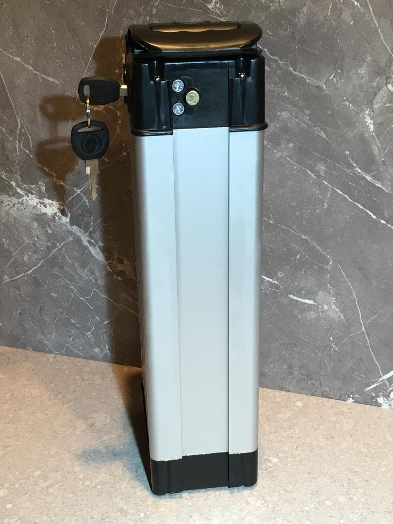 新品未使用 送料無料 電動自転車用バッテリー 48V / 6Ah 特定小型用