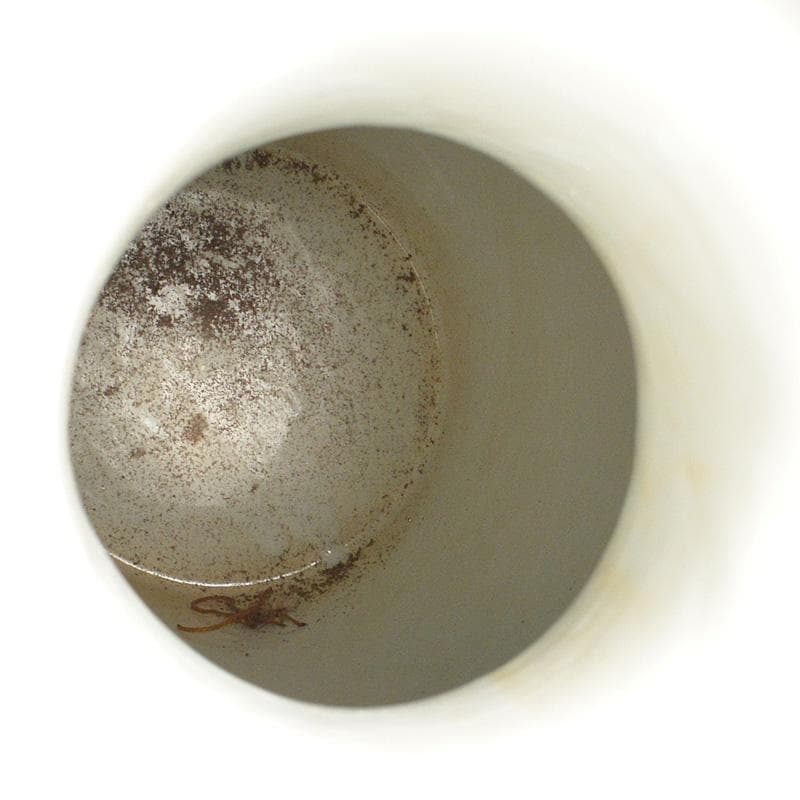 中国　中国景徳鎮製　粉彩　漢詩孔雀牡丹文瓶　D　R5521C