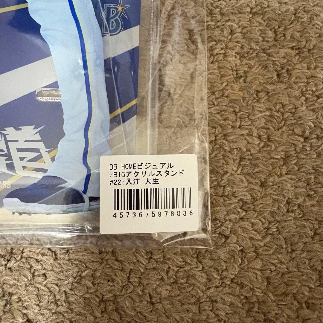 横浜DeNAベイスターズ 入江大生 BIG アクリルスタンド アクスタ
