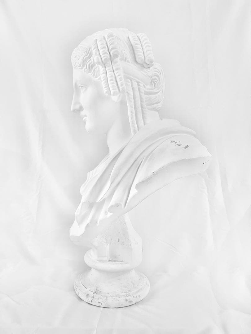 石膏像 パジャント胸像 ベレニケ