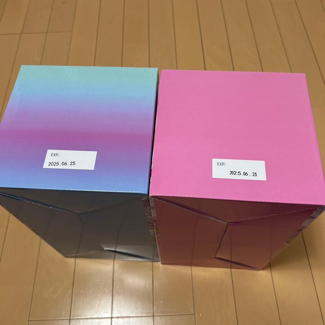 しなこボンボン　マスカット&パイナップル　マンゴー&いちご　16個セット