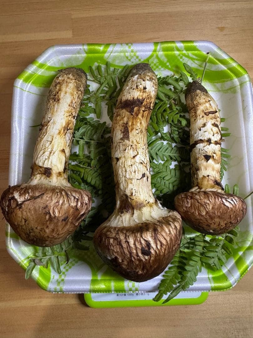 岩手県産　本日採れたて！　松茸　マツタケ　まつたけ　国産