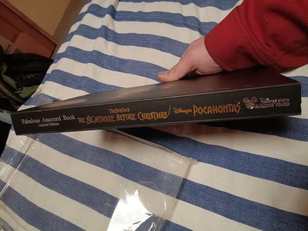 ☆Disney　レア品☆ディズニーストア限定 15th アソートブック