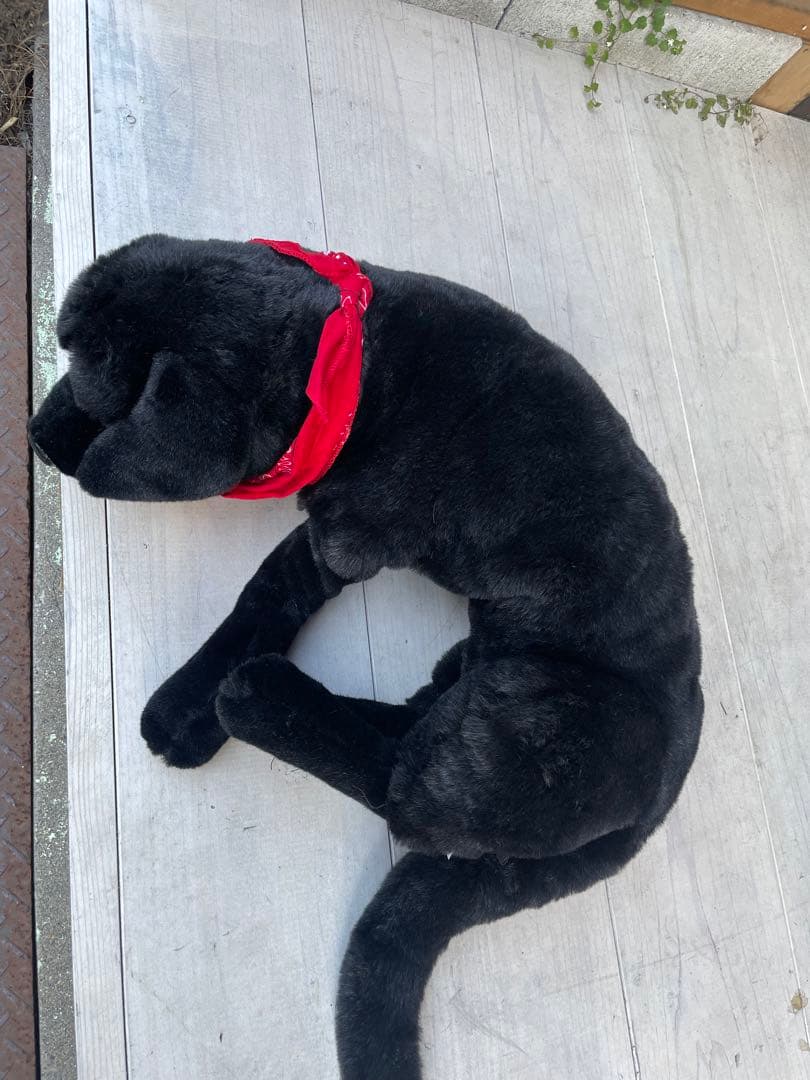 特大全長90cm等身大ワンちゃん　犬ぬいぐるみ DITZ ラブラドール