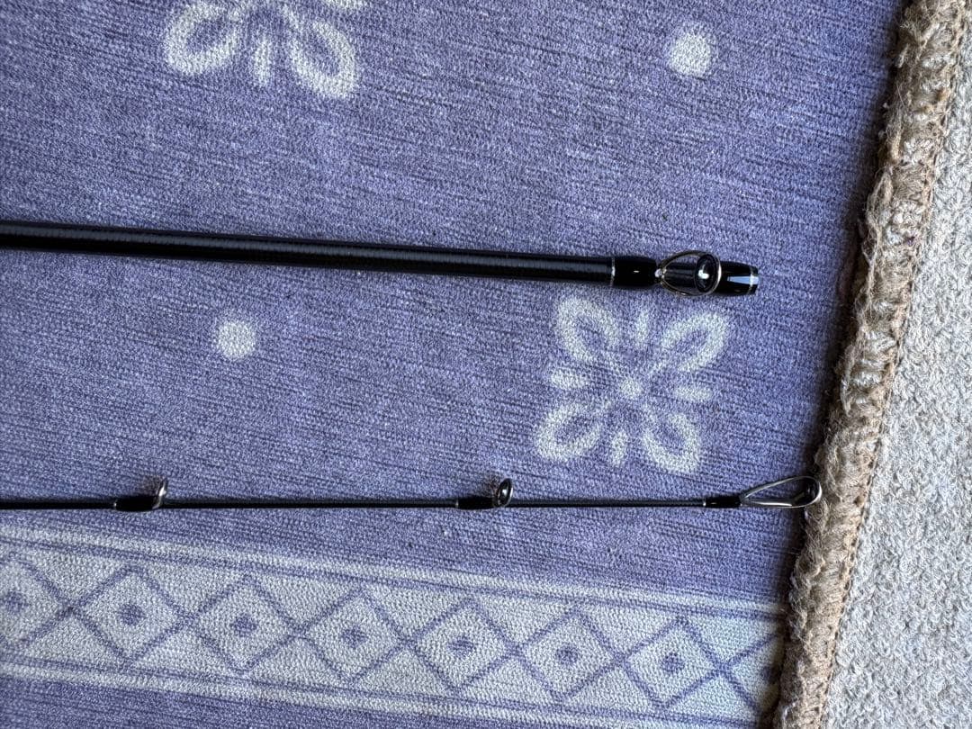 フィッシュマン ビームスローワーFishman Beams LOWER 8.6L