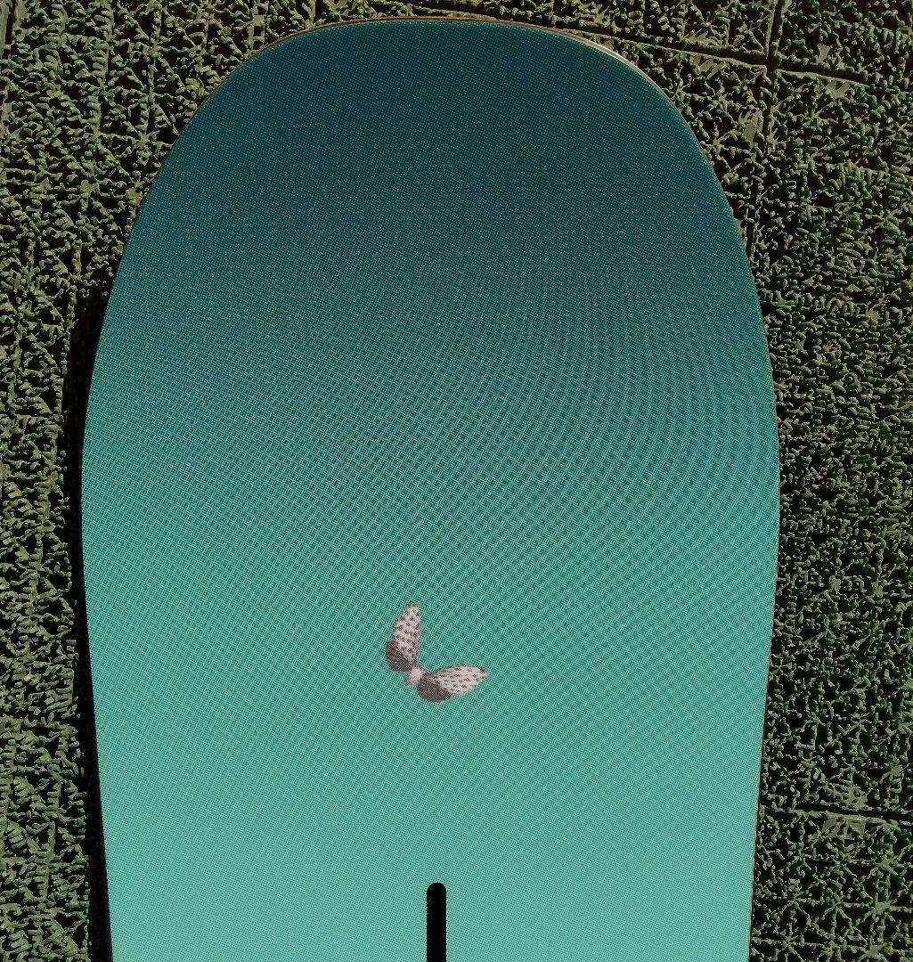 レディース最高峰 BURTON 141/SALOMON CAPiTA グラトリ