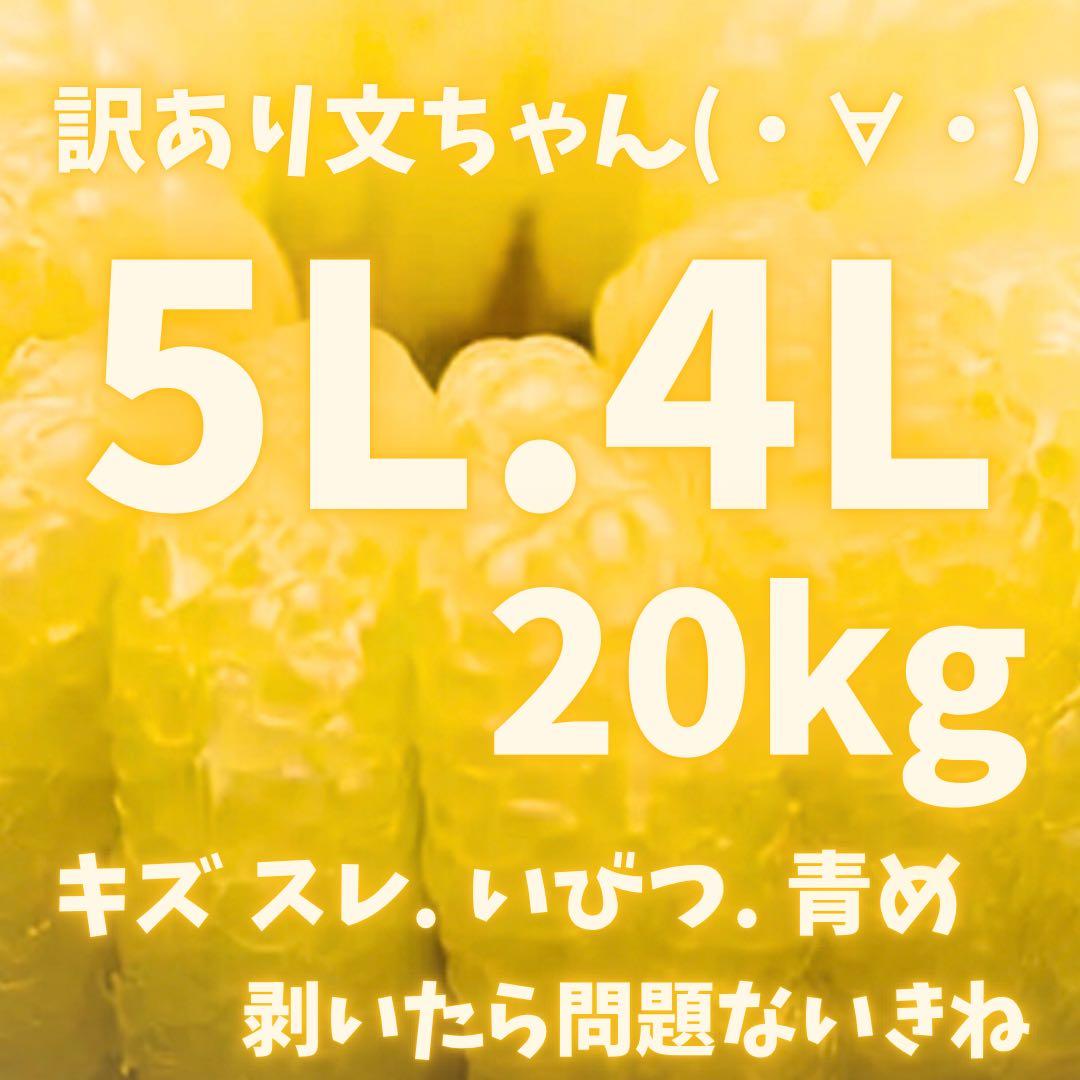 文旦　水晶文旦　みかん　好きに　　51