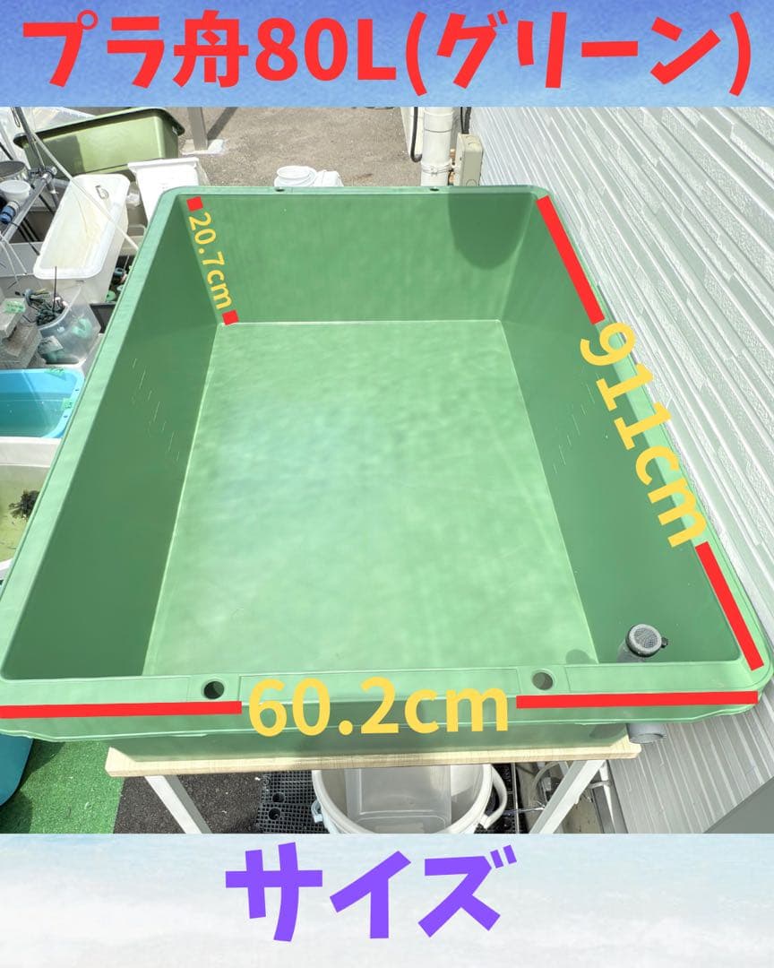 メダカ飼育容器オーバーフロー加工済プラ舟80L 2個セット トロ舟 プランター