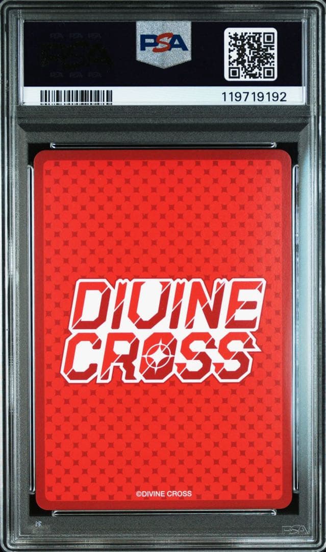 DIVINE CROSS イベント衣装ダッチガール　PSA10