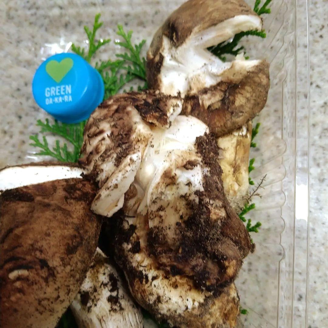 41.南信州産松茸約165g