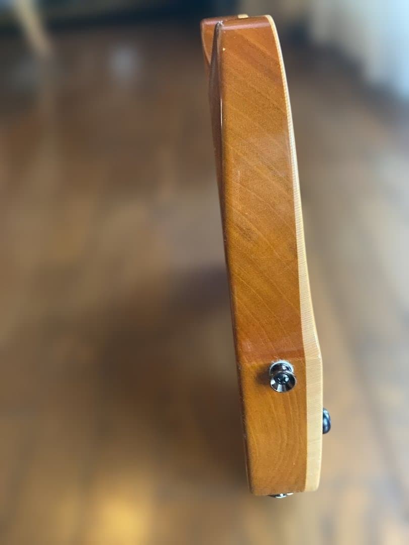 Westville Westel Semi-Hollow 　貴重な１マイク仕様