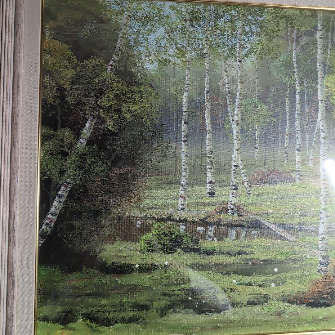 【油彩画】早瀬遼　作　白樺林　肉筆画　F10 新緑美しく春〜夏に運気向上する作