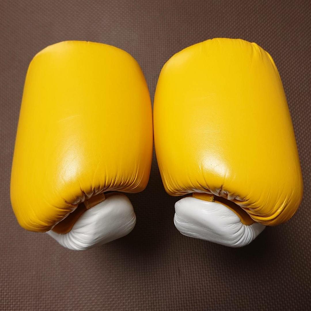 PRIZE RING/プライズリング ボクシンググローブ  10oz