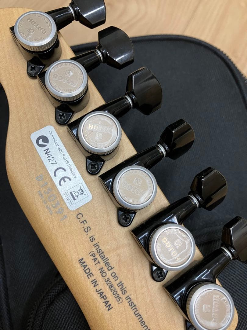 ギター FUJIGEN J-Standard ILIAD JIL-ASH-DE664-M