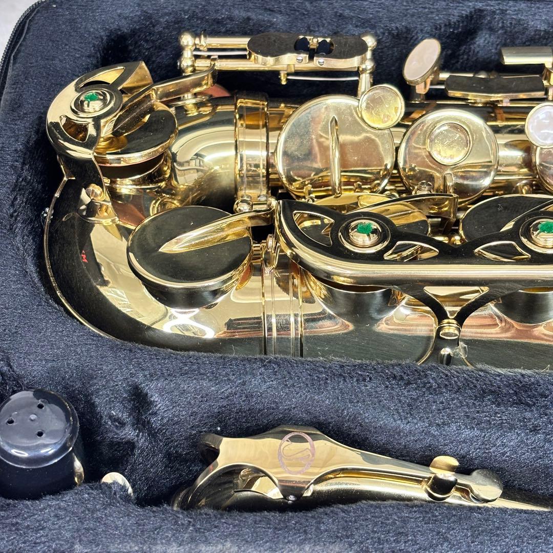 ✨美品✨Selva アルトサックス ハードケース付き 初心者〜練習用に◎