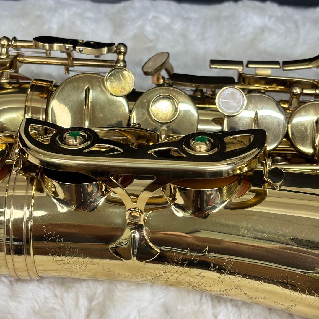 ✨美品✨Selva アルトサックス ハードケース付き 初心者〜練習用に◎