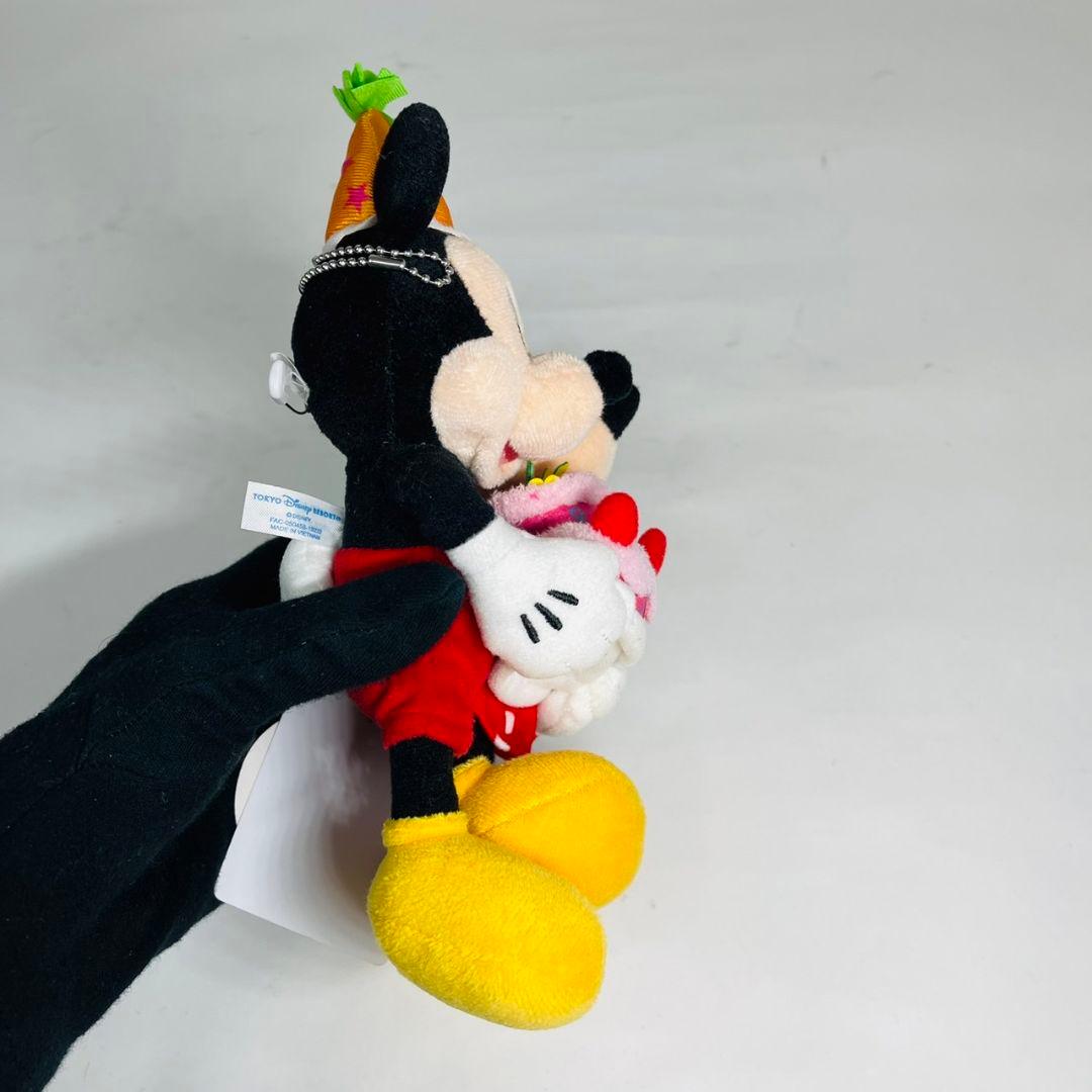 希少 レア ミッキー ミニー ぬいぐるみバッジ バースデー ぬいば