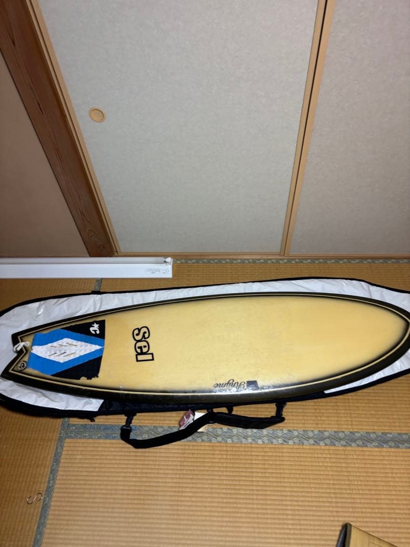 Sel ファンボード クリーム色 ケース付き