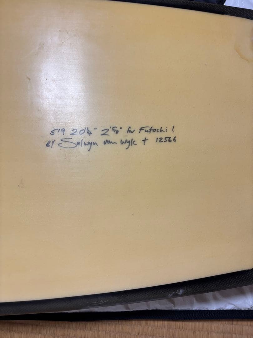 Sel ファンボード クリーム色 ケース付き