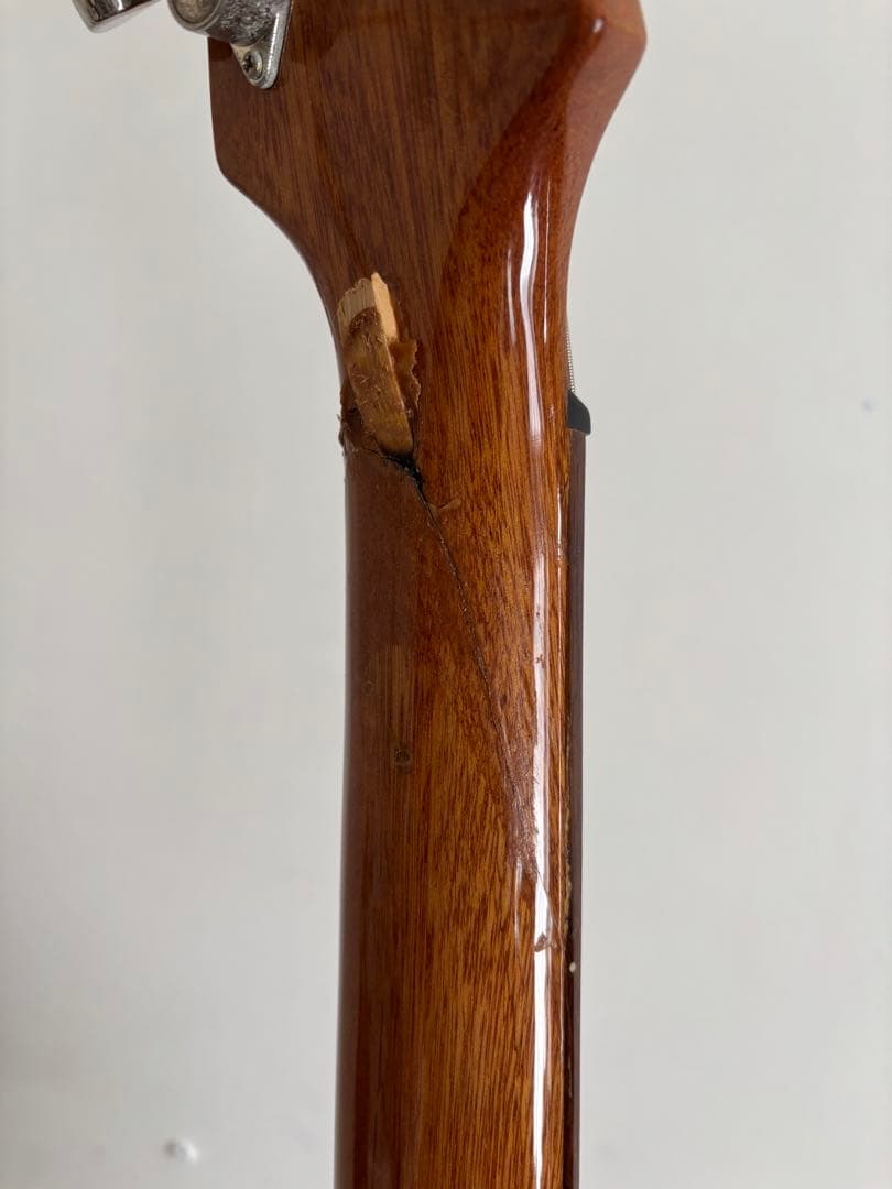 (ジャンク) epiphone Dot