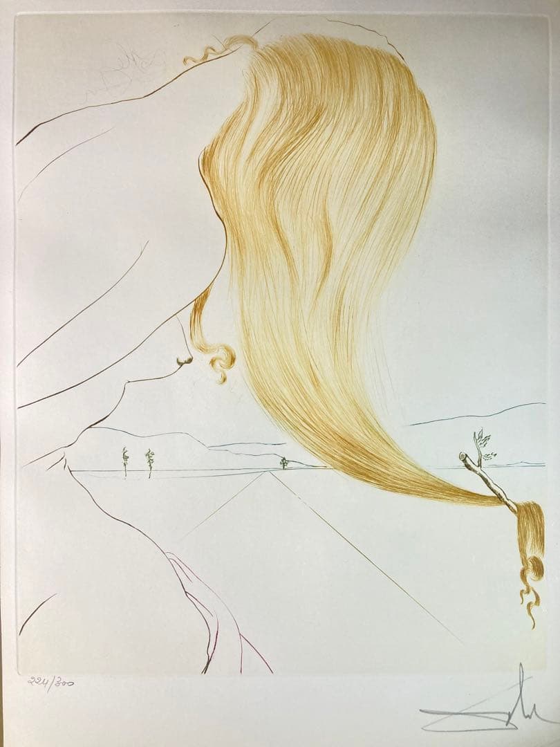 【真作保証】サルバドール・ダリ「神話」エッチング 直筆サイン 保証書有り 版画